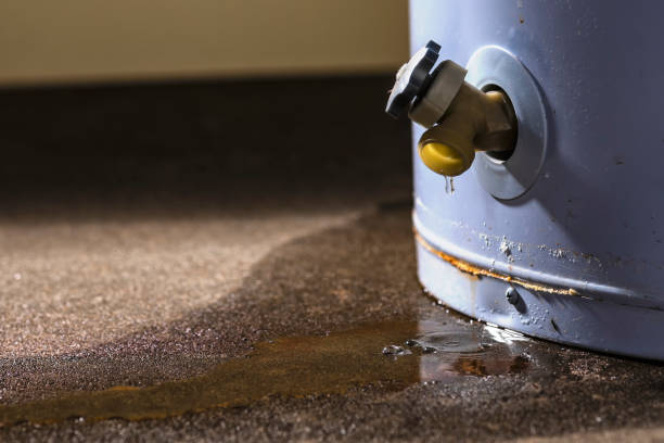 Best Water damage repair service  in Beacon Hill, WA