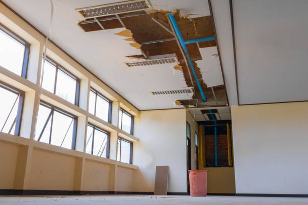 Best Commercial water damage restoration  in Beacon Hill, WA