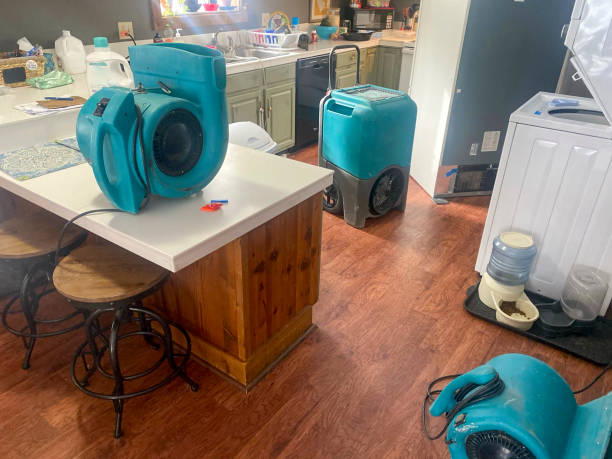 Best 24/7 water damage repair  in Beacon Hill, WA
