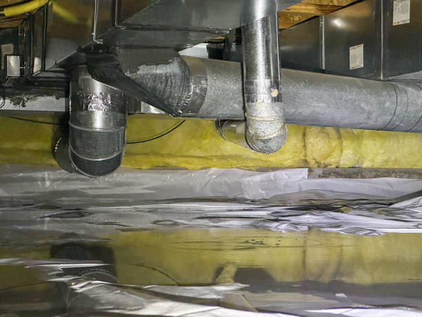 Best Water damage restoration near me  in Beacon Hill, WA
