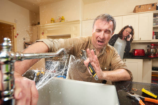 Best Flood restoration services  in Beacon Hill, WA